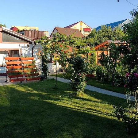 시비우 Casa Ienciu 아파트 외부 사진